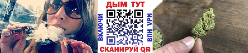 Каннабис гибрид  Юрьев-Польский 